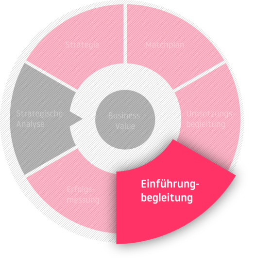 Die Phase der Einführungsbegleitung in der Beratung mit dem Business Value im Zentrum: Strategische Analyse - Strategie - Matchplan - Umsetzungsbegleitung - Einführungsbegleitung - Erfolgsmessung