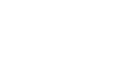 Referenz Neschen Projektsteckbrief