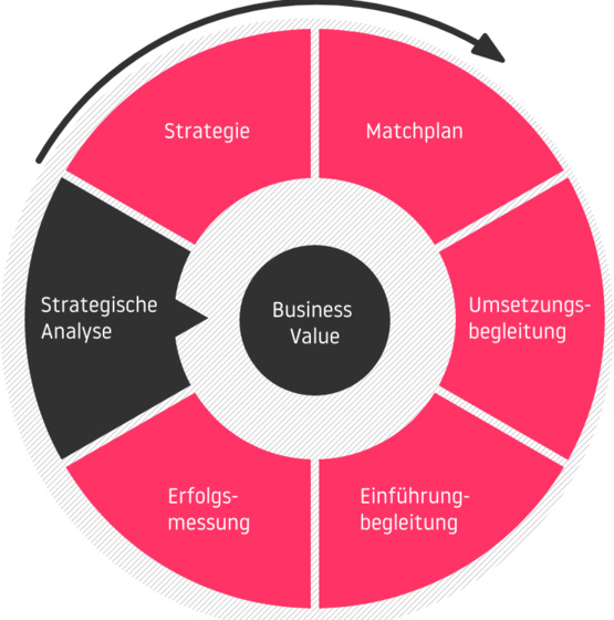 Die unterschiedliche Phasen der Beratung mit dem Business Value im Zentrum: Strategische Analyse - Strategie - Matchplan - Umsetzungsbegleitung - Einführungsbegleitung - Erfolgsmessung